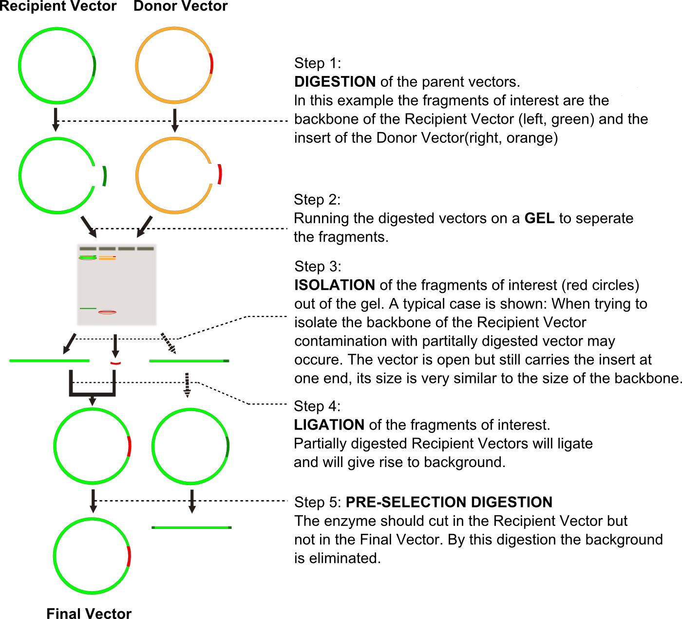 Flow Chart